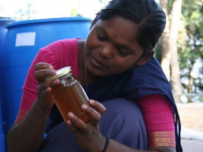 Honey is processed and packed in bottles to make it ready for the market